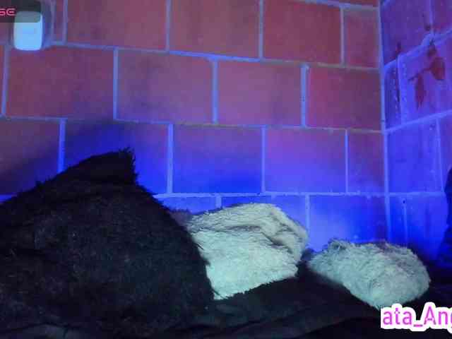 cata-anngel webcam