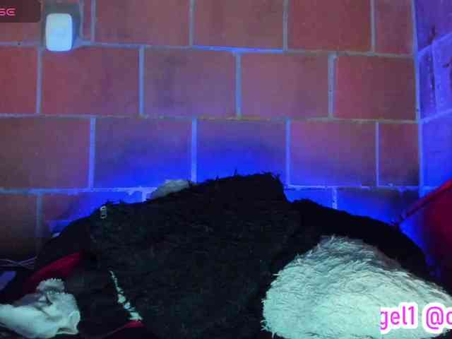 cata-anngel webcam