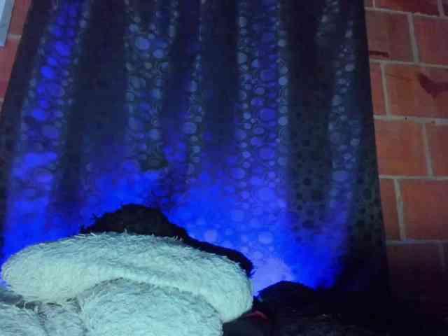 cata-anngel webcam