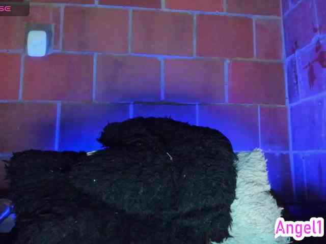 cata-anngel webcam
