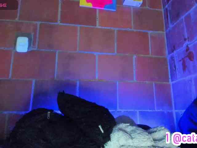 cata-anngel webcam