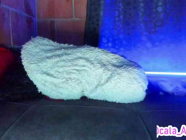 cata-anngel webcam
