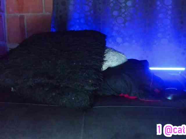 cata-anngel webcam