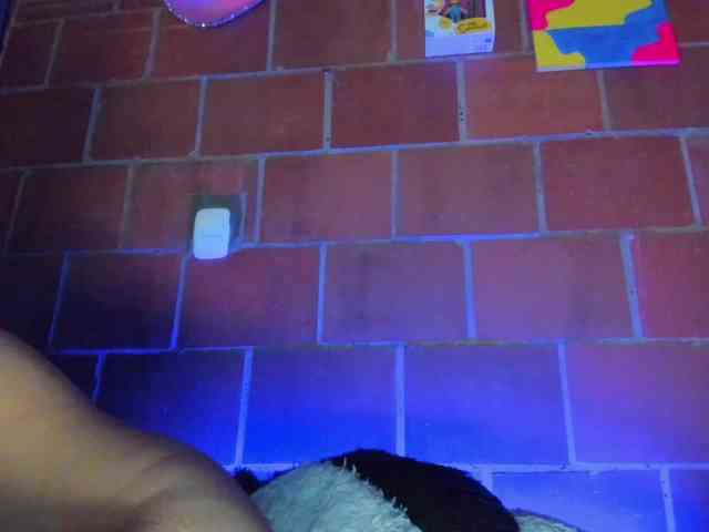 cata-anngel webcam