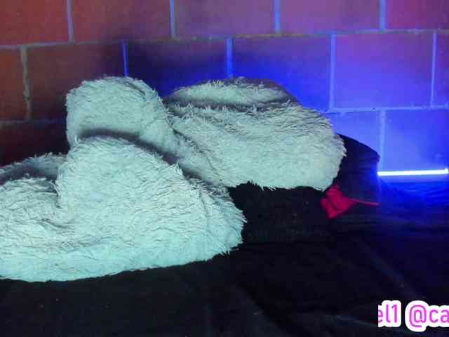 cata-anngel webcam