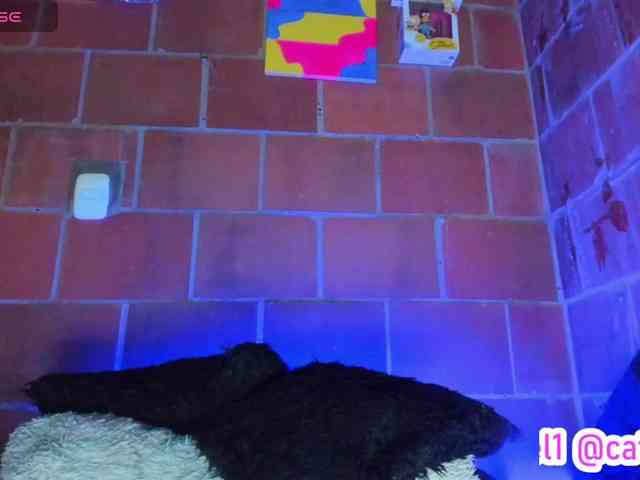 cata-anngel webcam