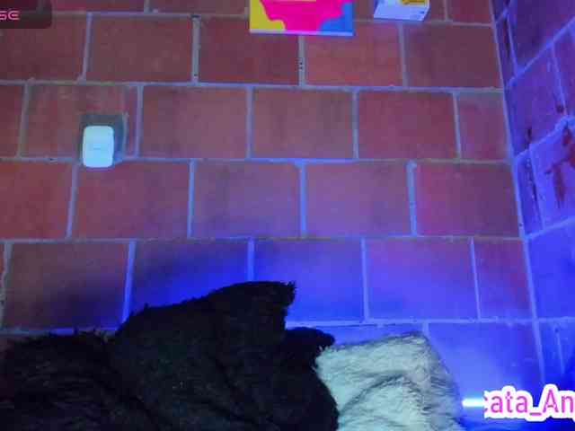 cata-anngel webcam