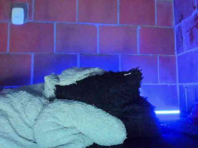 cata-anngel webcam