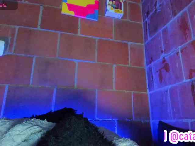 cata-anngel webcam