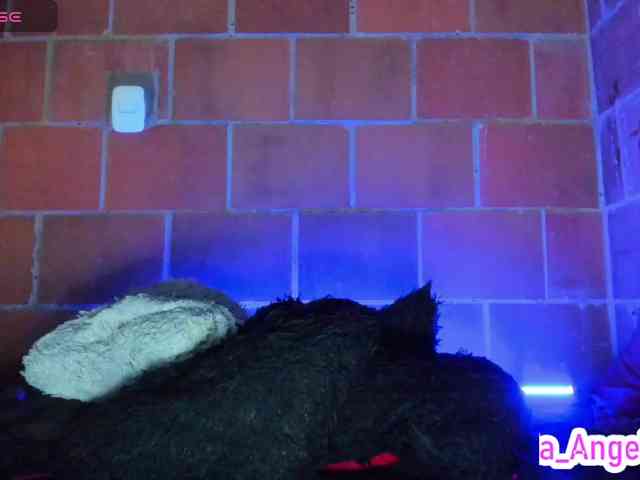 cata-anngel webcam
