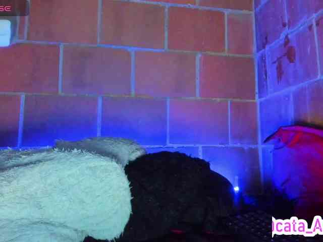 cata-anngel webcam