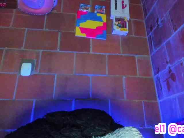 cata-anngel webcam