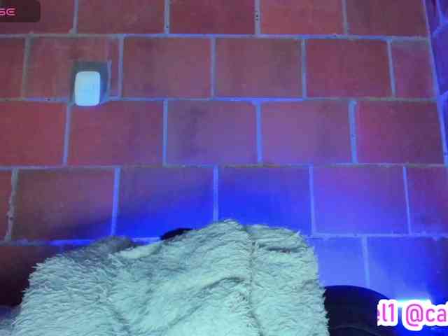 cata-anngel webcam