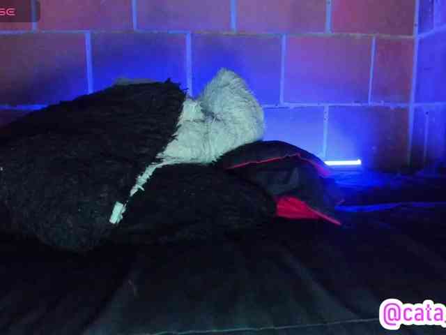 cata-anngel webcam