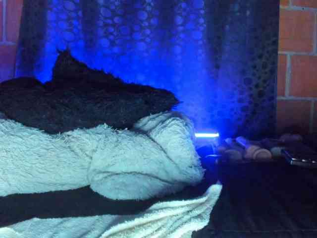 cata-anngel webcam