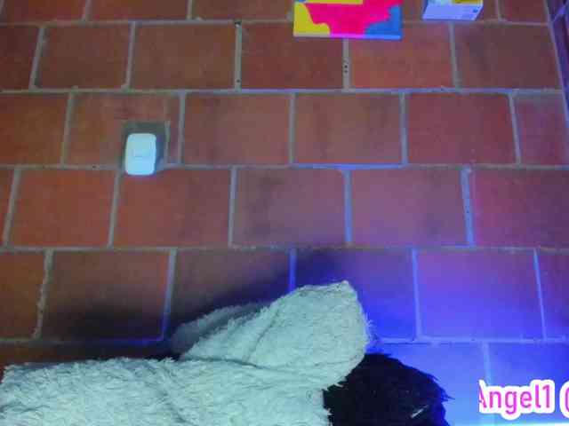 cata-anngel webcam