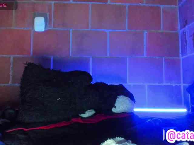 cata-anngel webcam