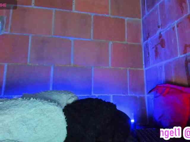 cata-anngel webcam