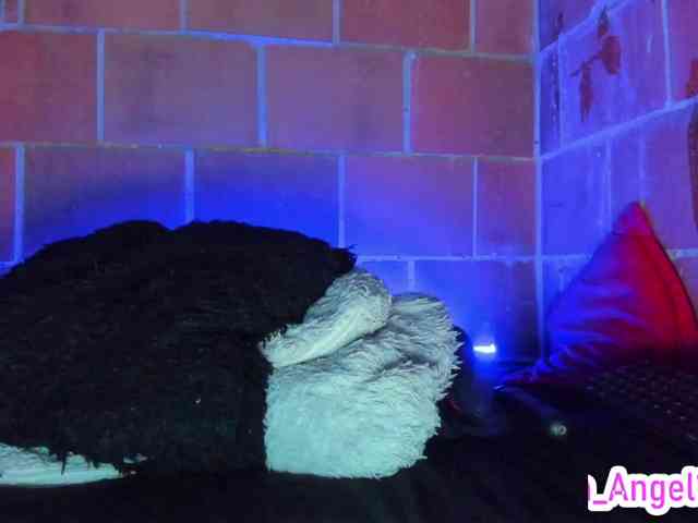 cata-anngel webcam