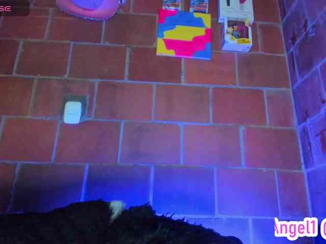 cata-anngel webcam