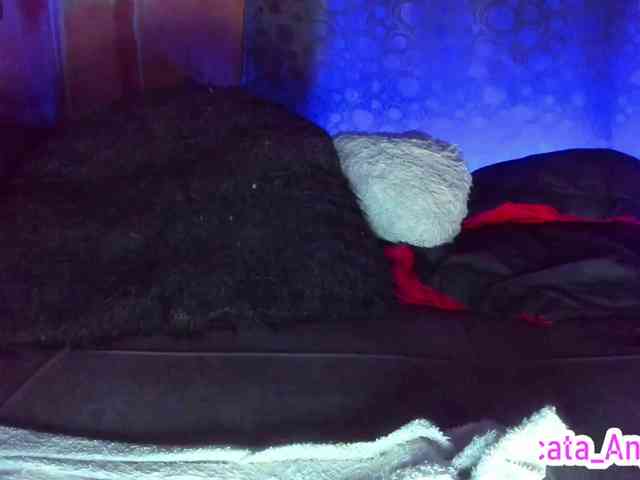 cata-anngel webcam