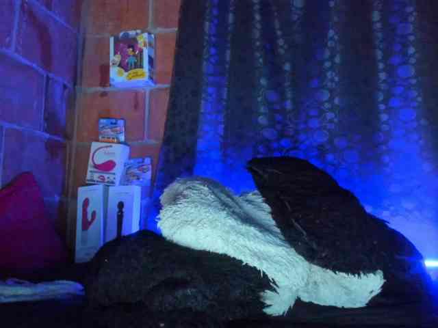 cata-anngel webcam
