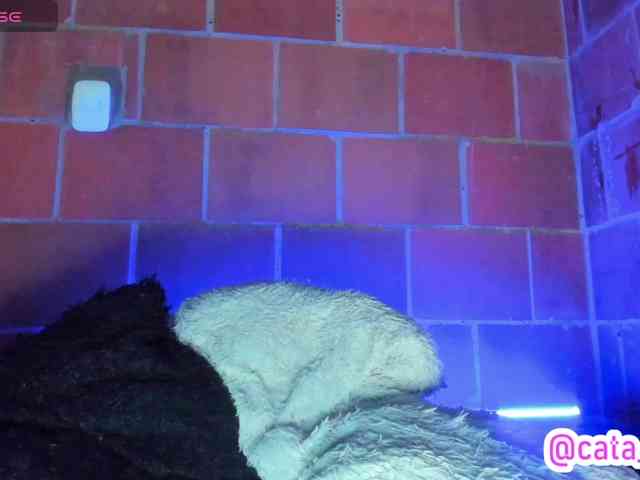 cata-anngel webcam