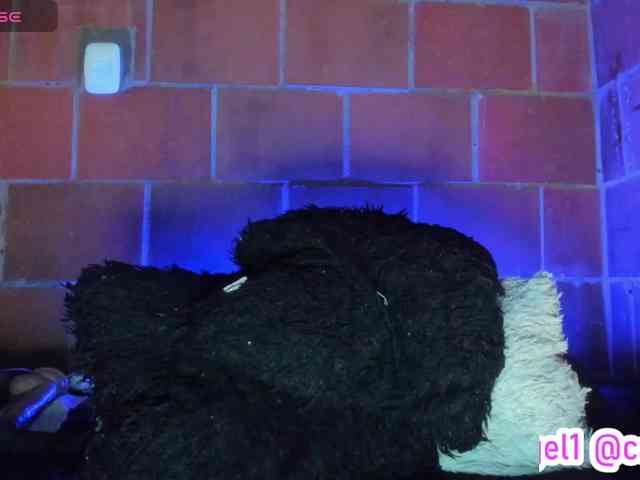 cata-anngel webcam