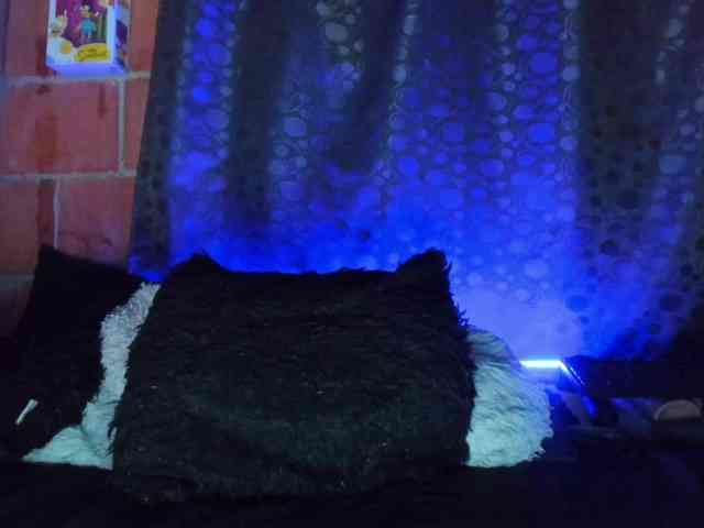 cata-anngel webcam