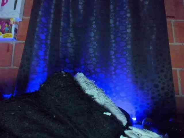 cata-anngel webcam