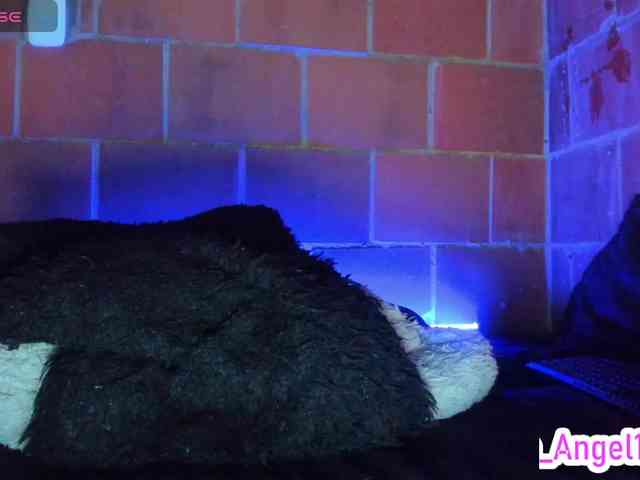 cata-anngel webcam