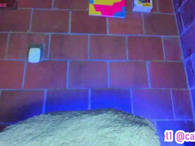cata-anngel webcam