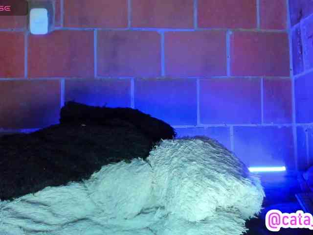 cata-anngel webcam