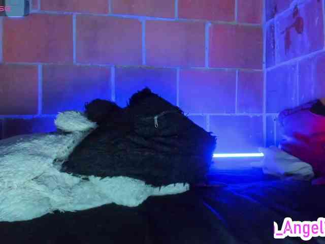 cata-anngel webcam