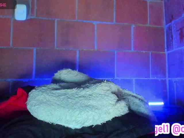cata-anngel webcam