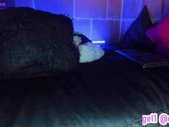 cata-anngel webcam