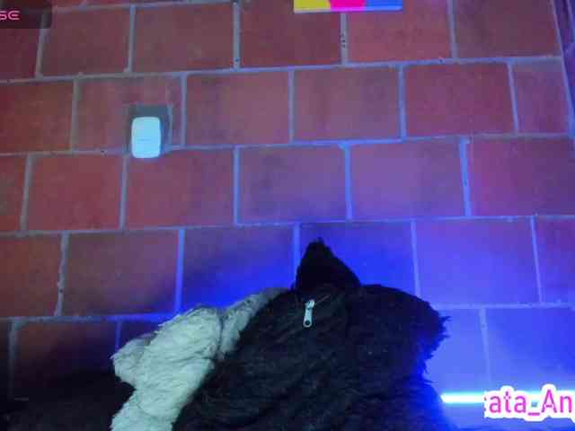 cata-anngel webcam