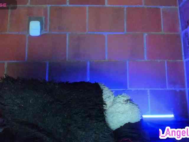 cata-anngel webcam