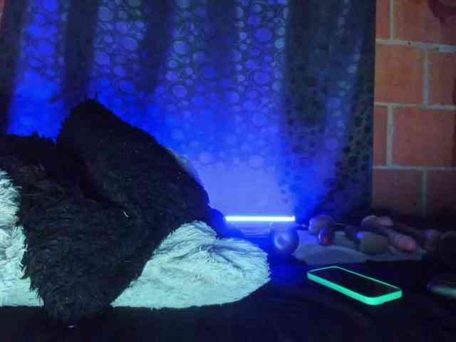 cata-anngel webcam