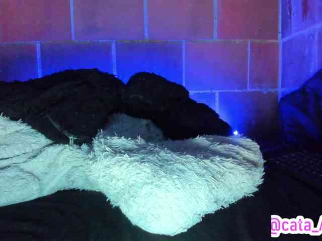 cata-anngel webcam