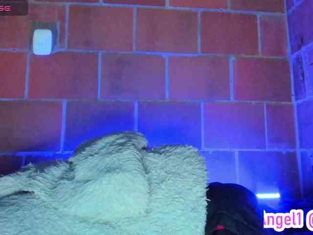 cata-anngel webcam