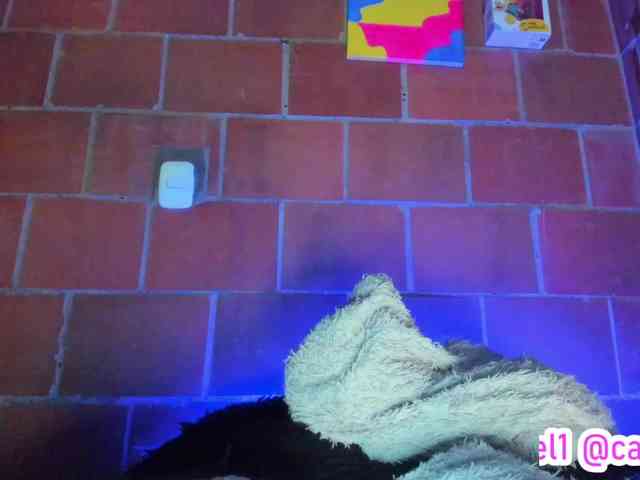 cata-anngel webcam