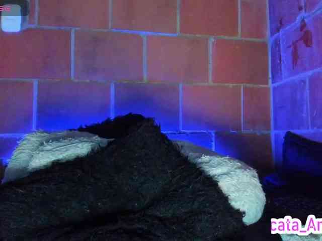 cata-anngel webcam