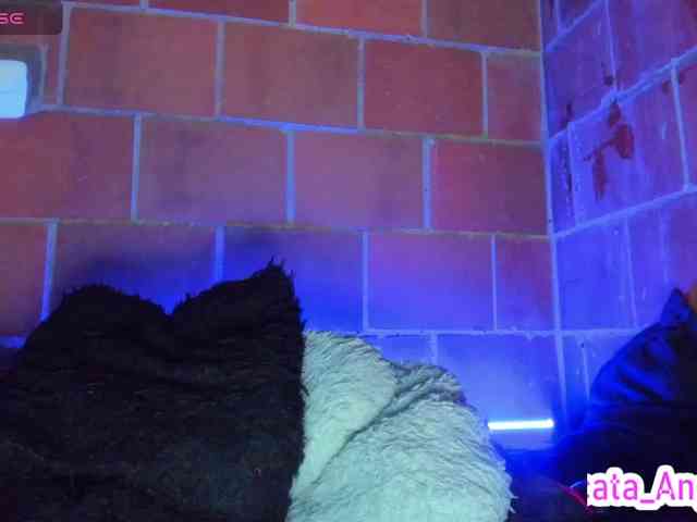 cata-anngel webcam