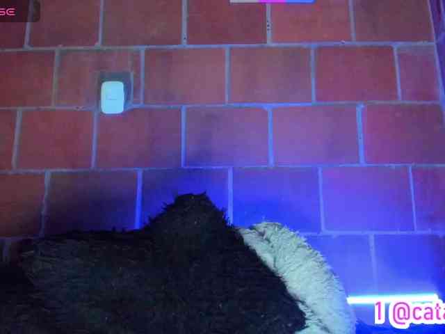 cata-anngel webcam