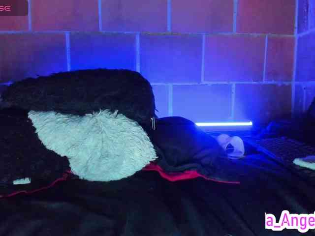 cata-anngel webcam