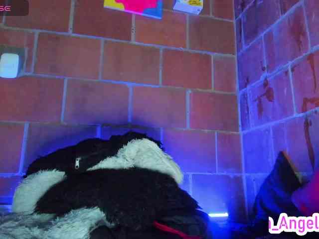 cata-anngel webcam