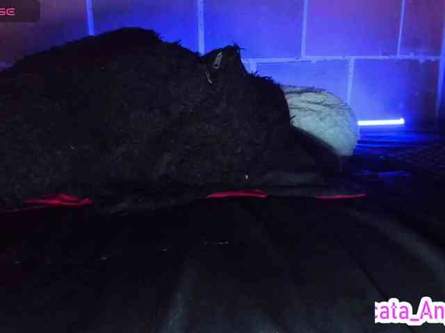 cata-anngel webcam