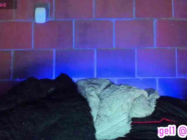 cata-anngel webcam