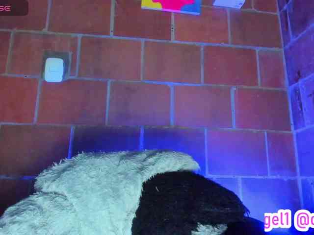 cata-anngel webcam